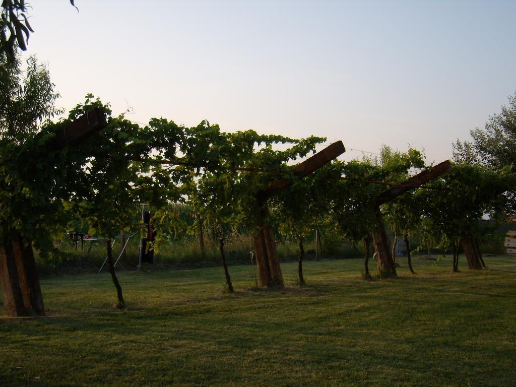 Antico Casale Dei Sogni Agriturismo Луґо Екстер'єр фото