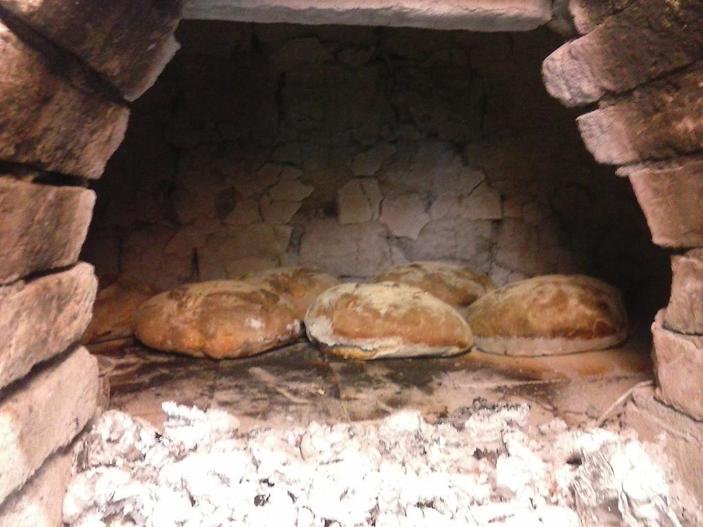 Antico Casale Dei Sogni Agriturismo Луґо Екстер'єр фото