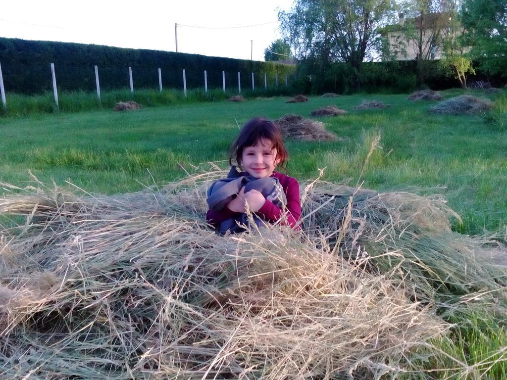 Antico Casale Dei Sogni Agriturismo Луґо Екстер'єр фото
