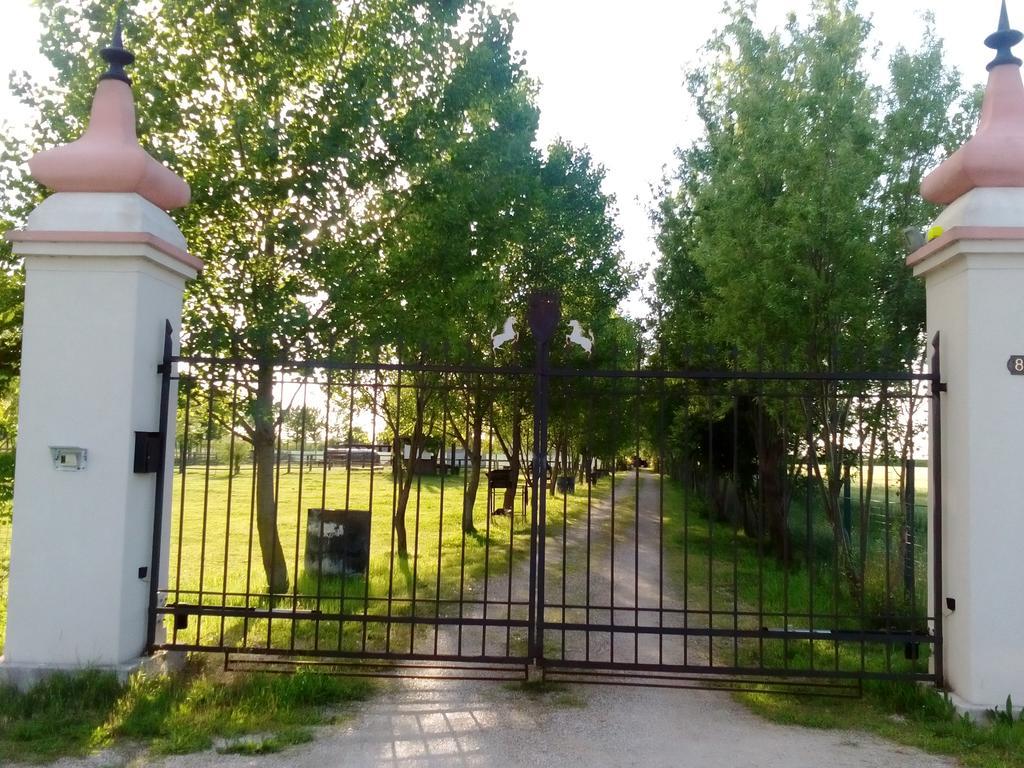 Antico Casale Dei Sogni Agriturismo Луґо Екстер'єр фото