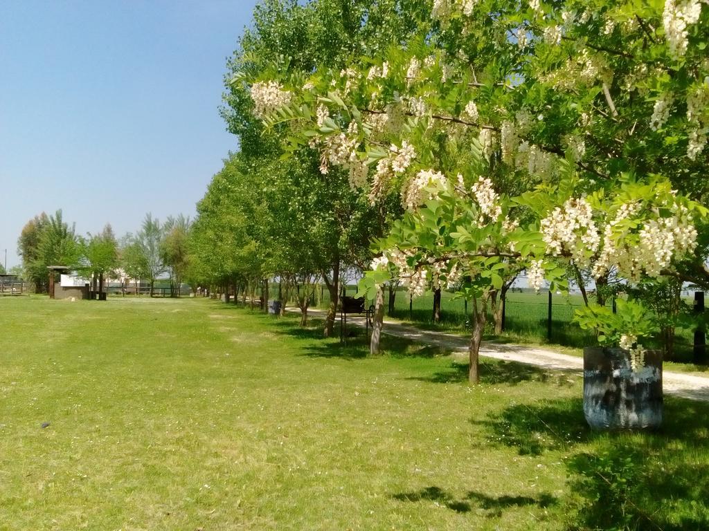 Antico Casale Dei Sogni Agriturismo Луґо Екстер'єр фото
